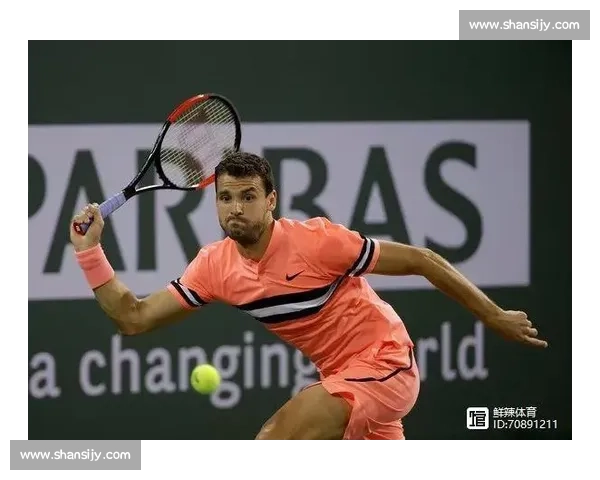 德约黄昏之战:未竟的传奇征途 德约黄昏之战:未竟的传奇征途